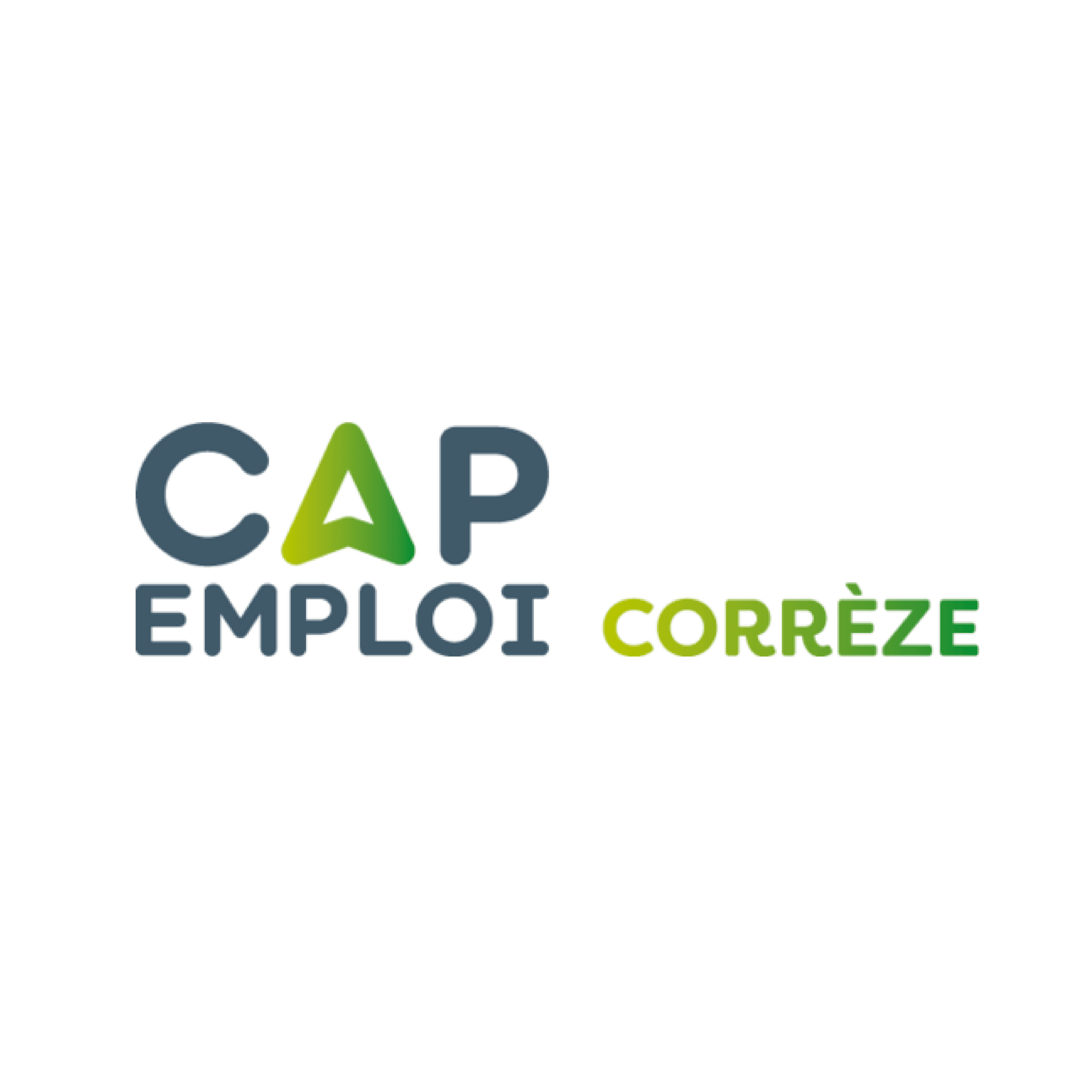 CAP Emploi
